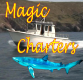 Magic Charters logo