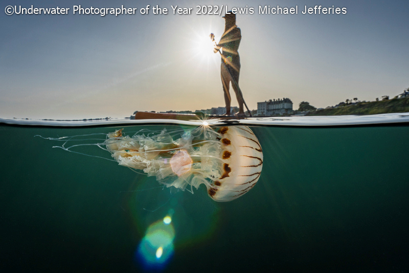 Underwater Photographer of the Year 2022, #Gli squali dominano l&#8217;edizione 2022 dell&#8217;Underwater Photographer of the Year