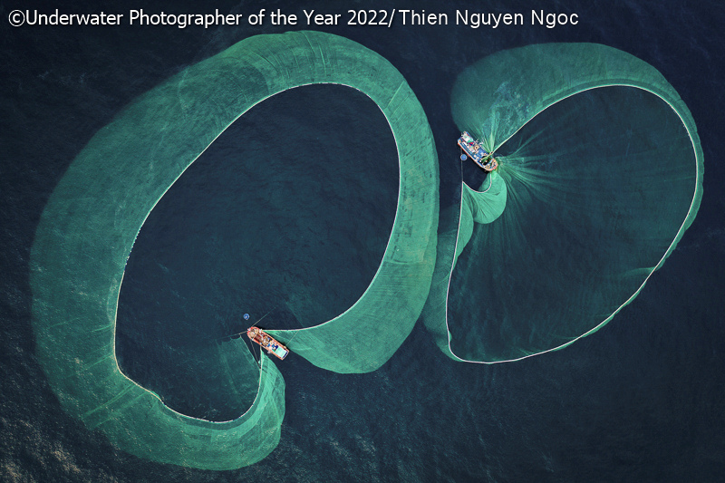 Underwater Photographer of the Year 2022, #Gli squali dominano l&#8217;edizione 2022 dell&#8217;Underwater Photographer of the Year