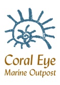 Coral Eye