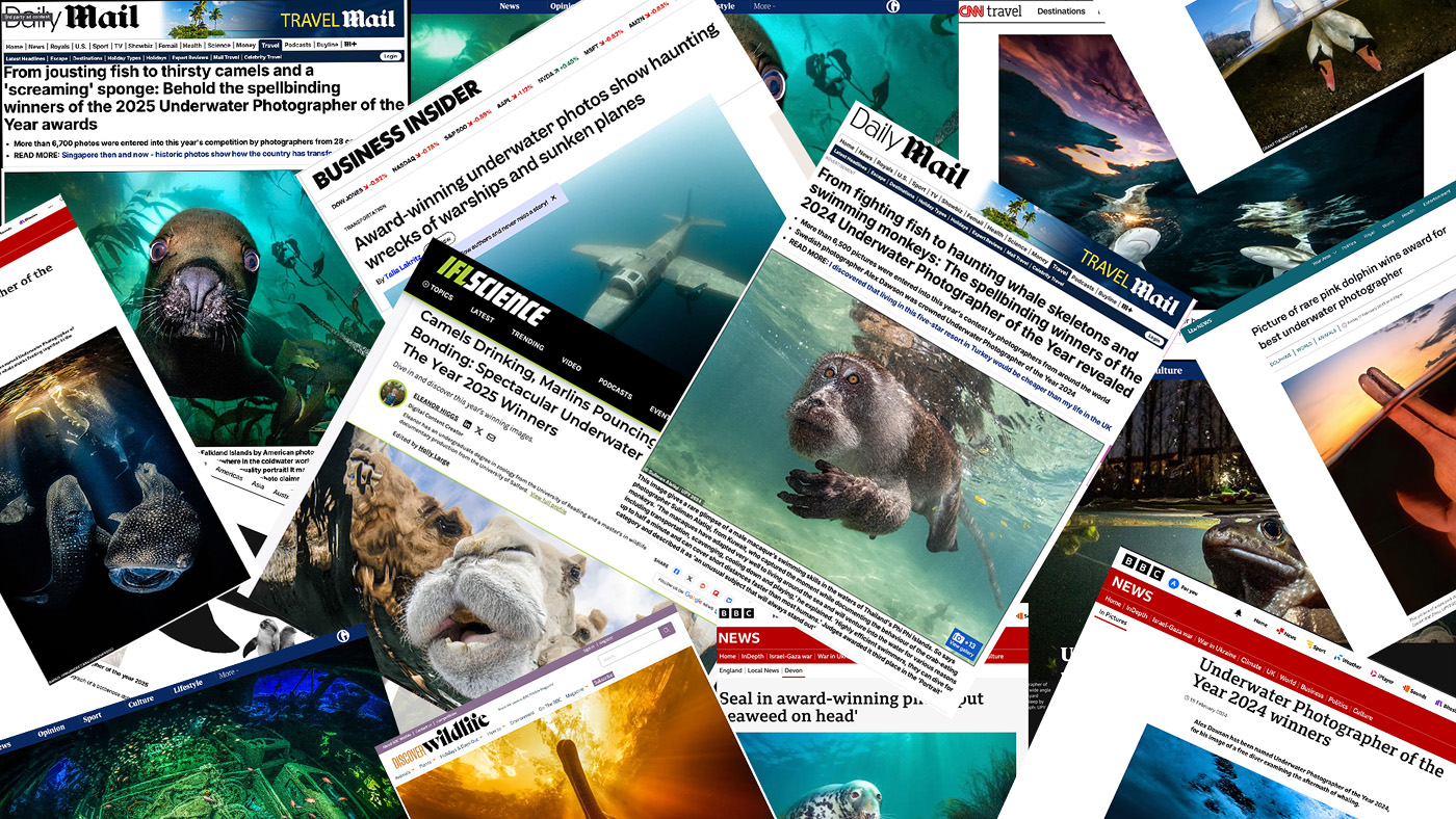 UPY Press coverage