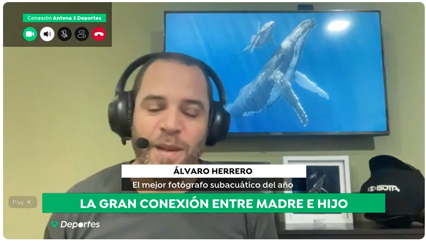 Alvaro Herrero